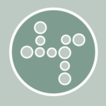 organizational_assessment2